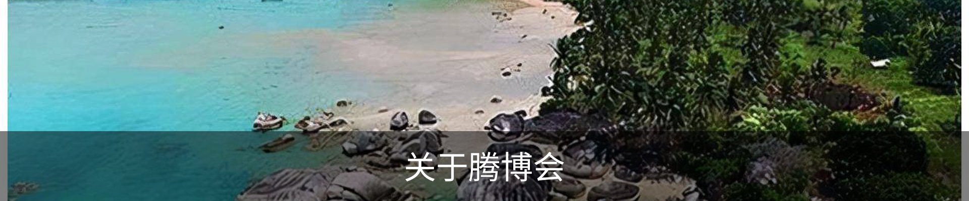 关于腾博会